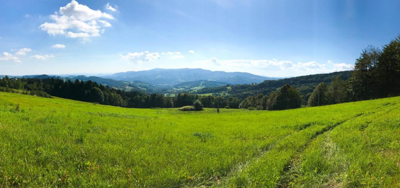 Osada Wasylowka Laskowa  Exterior foto